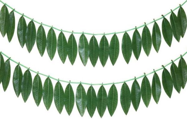 Fresh Mango Leaves String / Toran