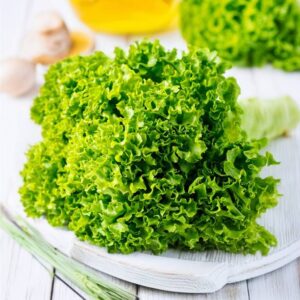 Lettuce Green