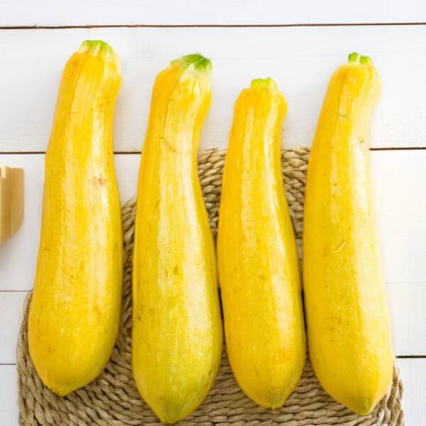 Zucchini – Yellow