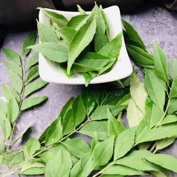 Curry Leaves