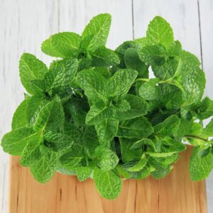 Mint Leaves