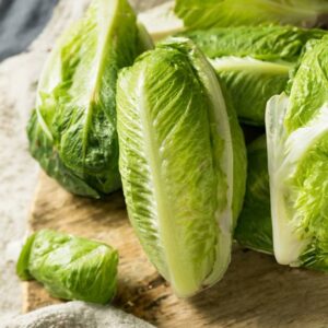 Lettuce Romain