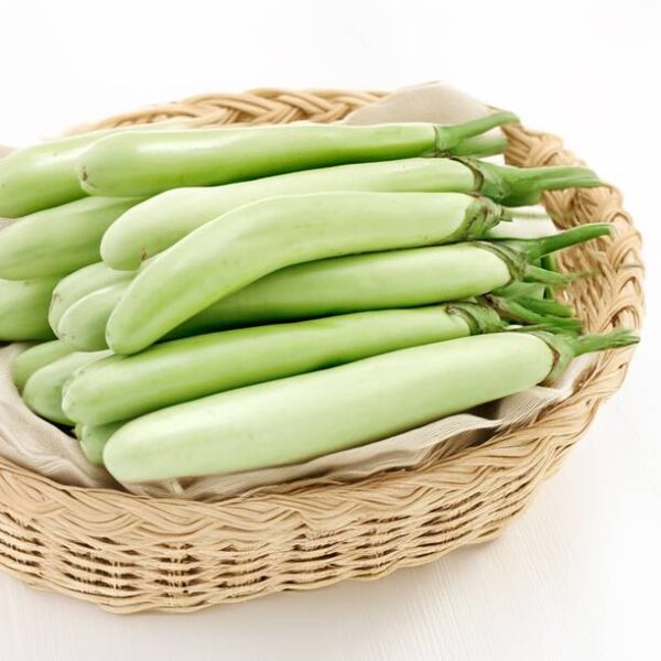 Brinjal Green Long