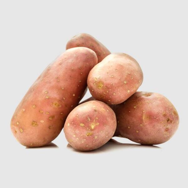 Potato Red