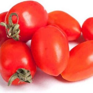 Cherry Tomato Red