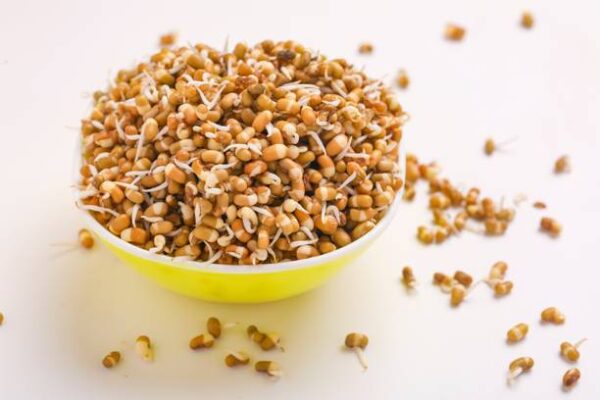 Sprouts Mataki Peeled