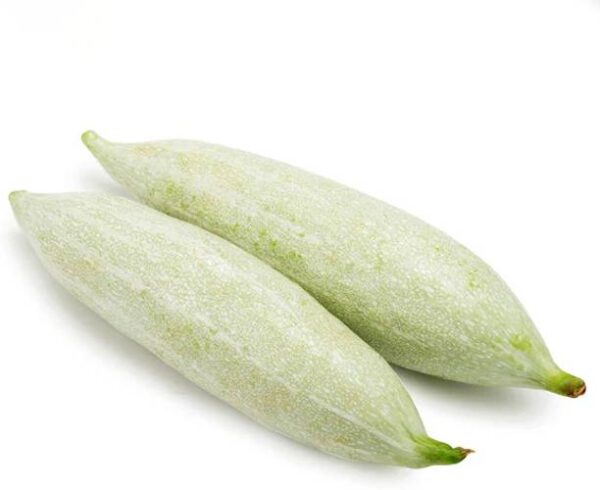 Snake Gourd