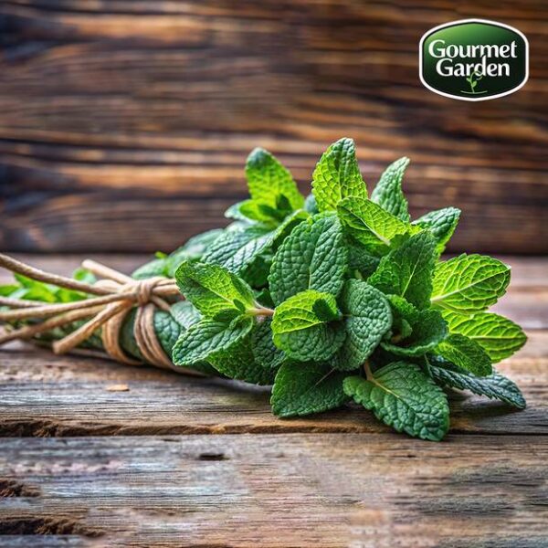 Organic Mint (without roots)