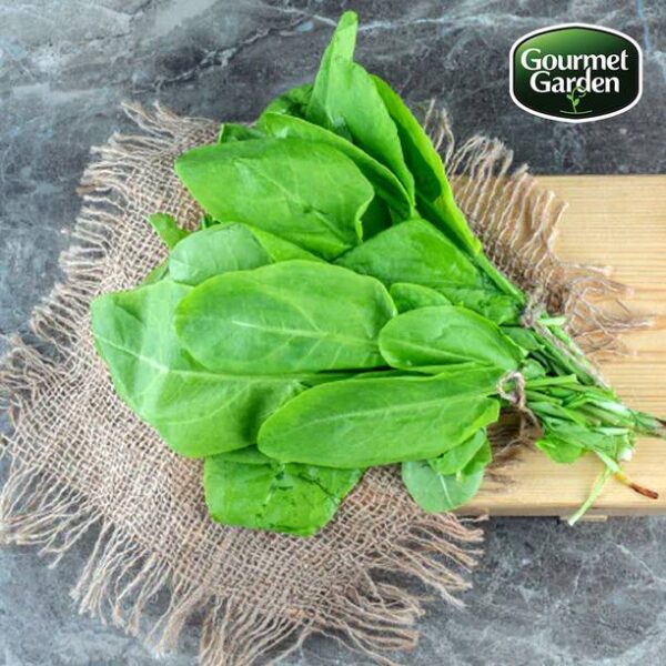 Organic Naturoponic Spinach (without roots) Leafy