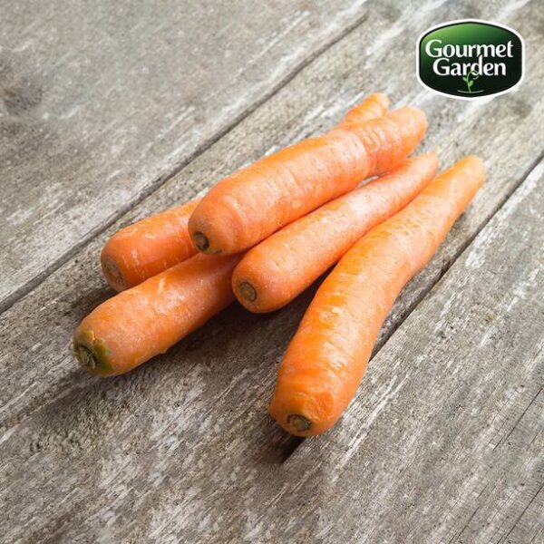Organic Carrot