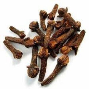 SS520 Premium Cloves (Long)