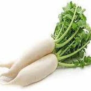 Radish White