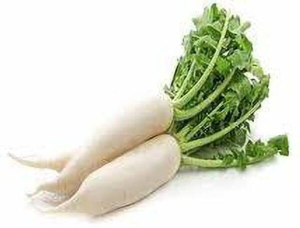 Radish White