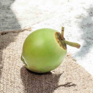 Premium Tender Coconut-Select