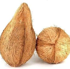 Fresh Coconut for Kalash 1Pc (Approx. 250 g)