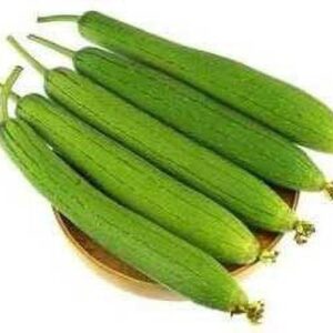 Sponge Gourd