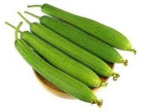 Sponge Gourd